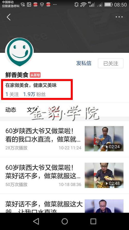 头条张大爷视频下载,揭秘生活智慧，传承民间技艺
