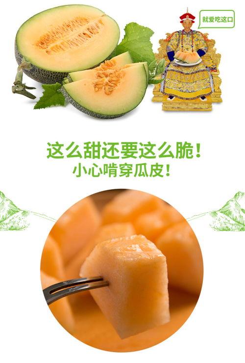 熊猫吃蜜瓜视频,蜜瓜盛宴大满足