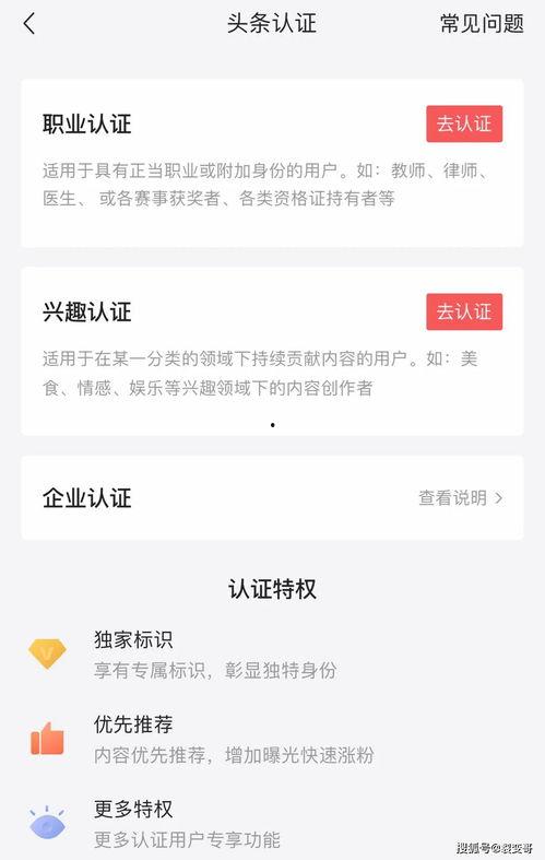 微头条日签选什么题好,揭秘今日热门话题，深度解析社会热点