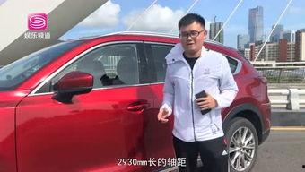 清风车影深圳网红,深圳网红打卡新地标