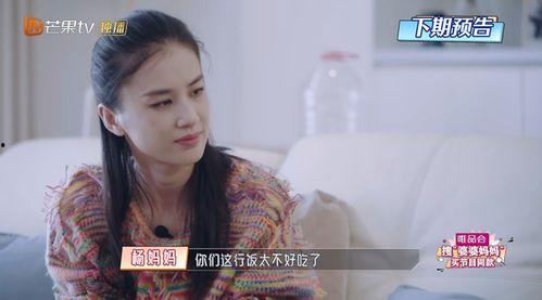 什么扬子明星,璀璨星河中的璀璨明珠