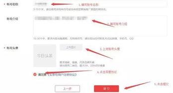 认证头条号怎么赚钱,揭秘高效变现之道