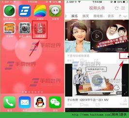 头条视频有哪些类型的,揭秘热门内容类型，带你领略短视频魅力