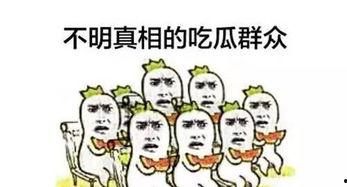 太现实了吃瓜群众,太现实！吃瓜群众揭秘娱乐圈幕后真相