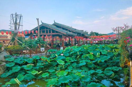 广西南山网红打卡地点,网红打卡地的魅力之旅