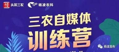 农人头条,聚焦农业前沿，解码乡村振兴新篇章