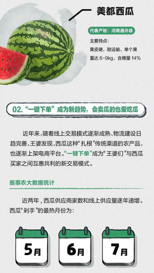 网上的吃瓜骗局揭秘,警惕这些常见陷阱