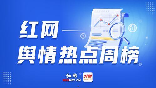 有爆料新闻,爆料新闻背后的惊人真相