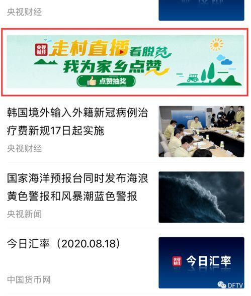 仙桥村今日新闻爆料视频,揭秘神秘事件背后的真相