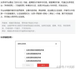 头条作者认证如何看进度,揭秘认证流程与时间节点