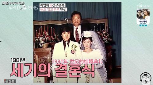 娱乐圈吃瓜小说综艺文,综艺幕后那些事儿